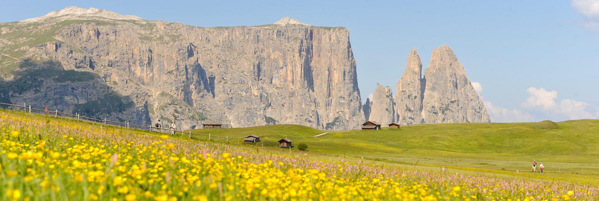 Die Seiser Alm und das Schlernmassiv im Sommer