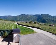 story-elefant-andrian-01