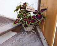 story-judith-antholzrasen-02