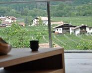 story-palus-algund-01