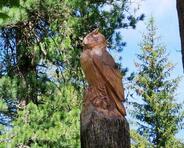 story-bergwaldmillefiori-obereggen-03