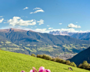 story-sonngruber-vahrn-01