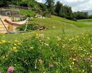 story-aurora-lajen-03