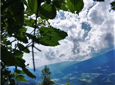 titelbild-blog-prader