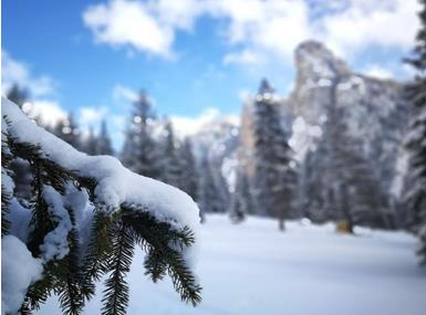 blogbeitrag-schneeschuhwandern-titelbild