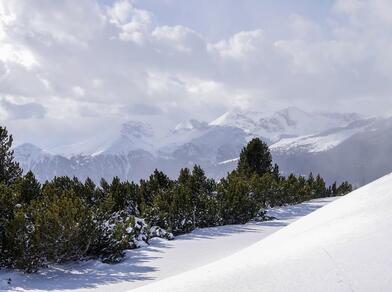Eine Winterlandschaft