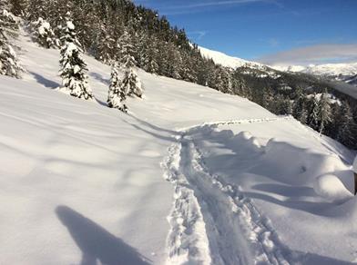 Un paesaggio invernale