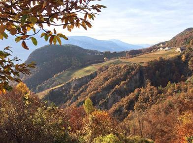 Herbstliche Berglandschaft mit Weinbergen, bunten Wäldern und verstreuten Häusern im warmen Licht.