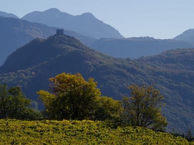 Collina boscosa con rovina di castello, circondata da vigneti e montagne in luce soffusa.