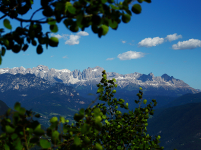 Blick auf die Berge im Frühling