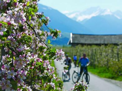 A bike tour in spring