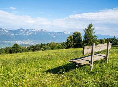 Eine Holzbank auf einer blühenden Wiese mit Blick auf ein weites Tal und die umliegenden Berge.