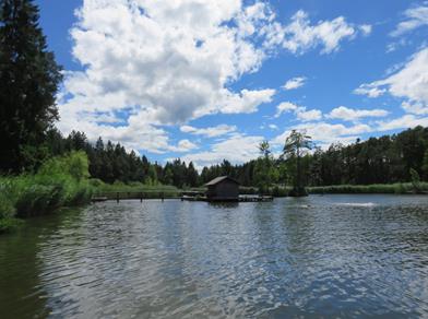 Völser Weiher lake under a blue sky with white clouds