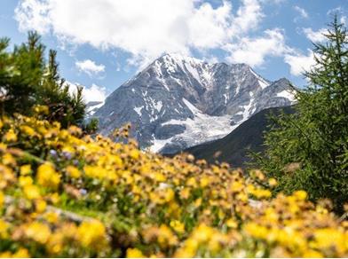 linkbild-blogbeitrag-bergpotraet-ortler