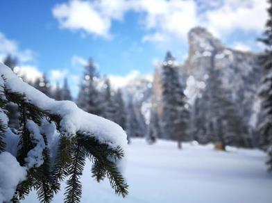 blogbeitrag-schneeschuhwandern-titelbild