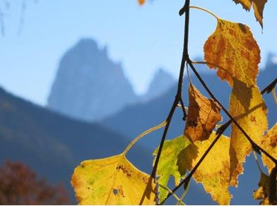 og-blogbeitrag-herbsturlaub