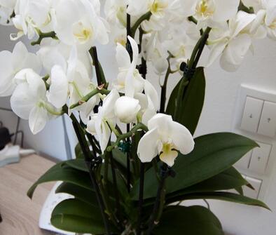 gallery-zoeschg-andrian-06