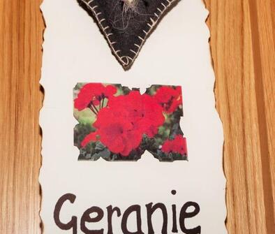 gallery-sonnleitn-lajen-05