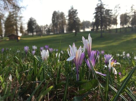 blogbeitrag-fruehlingsgefuehle-02