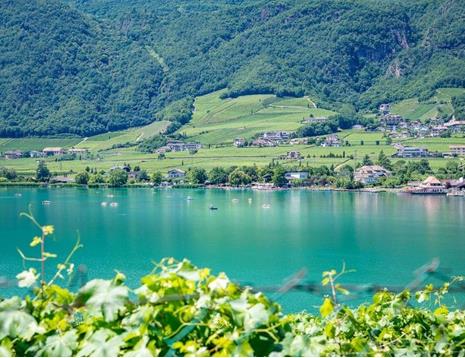 blogbeitrag-seeportraet-kalterer-see-6