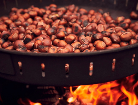 blogbeitrag-die-suedtiroler-kueche-07