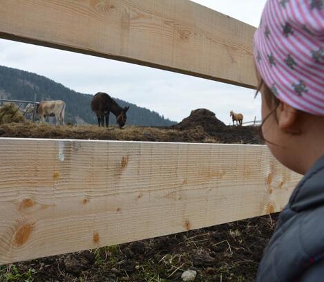 blogbeitrag-villaerna-03