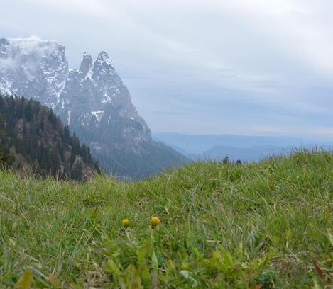 blogbeitrag-villaerna-02