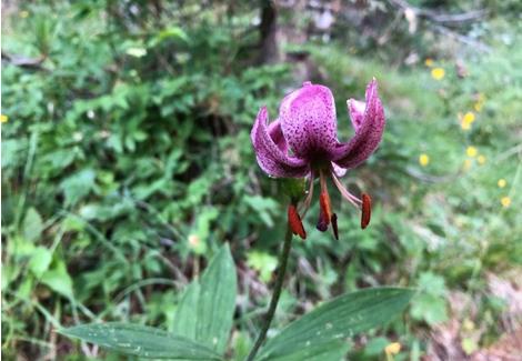 base-item__image lazyload