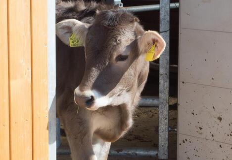 base-item__image lazyload