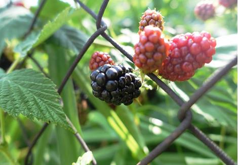 base-item__image lazyload