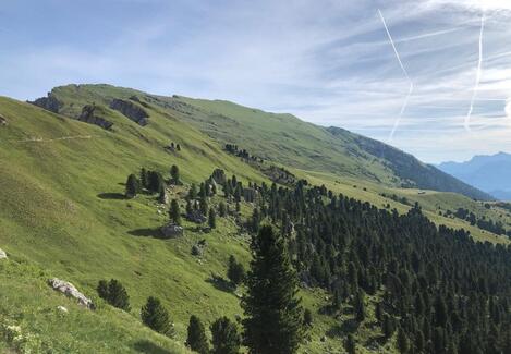 base-item__image lazyload