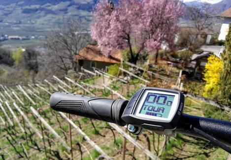 base-item__image lazyload