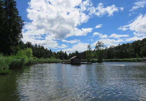 base-item__image lazyload