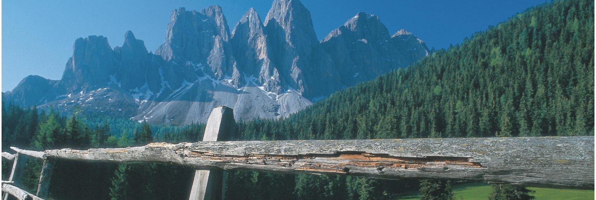 Vista su una vecchia staccionata in legno con le imponenti cime delle Dolomiti e una fitta foresta di conifere sullo sfondo.