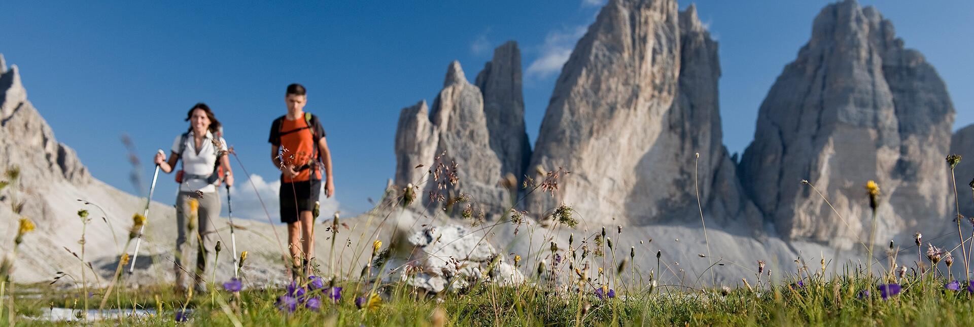 Two hikers walk across a flower meadow with the iconic Three Peaks in the background.