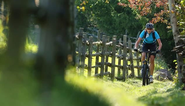 Eine Mountainbikerin fährt auf einem schmalen Pfad durch eine grüne Landschaft mit einem Holzzaun und Bäumen.