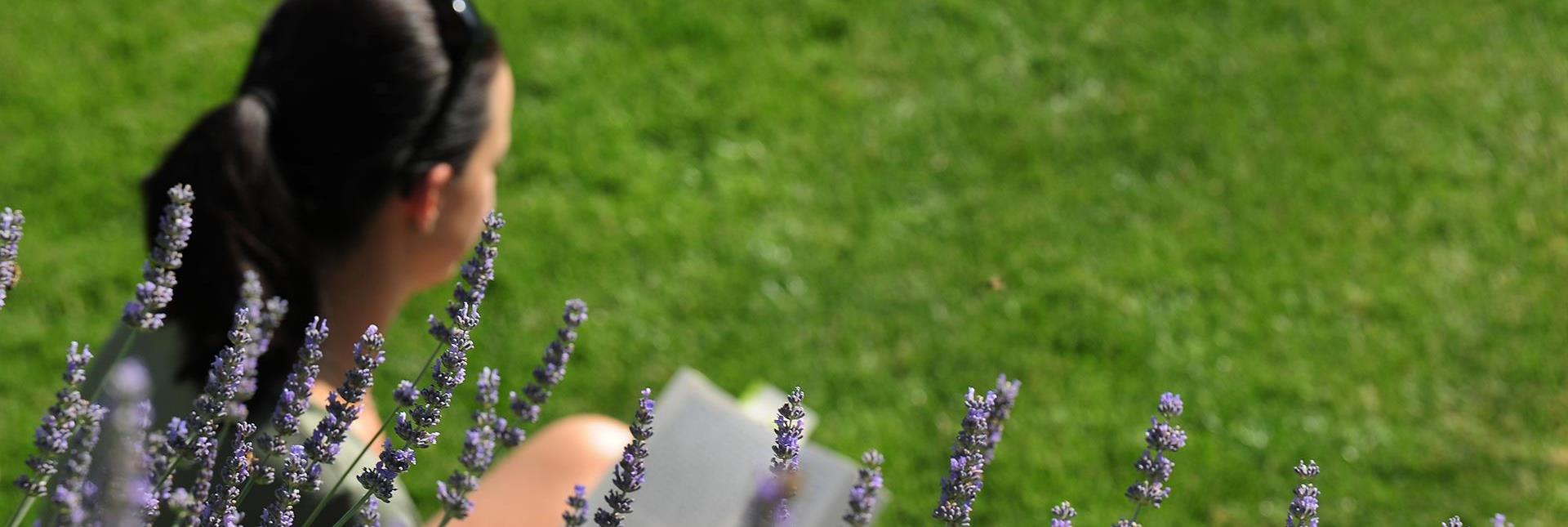 Eine Frau sitzt in einer blühenden Blumenwiese und liest