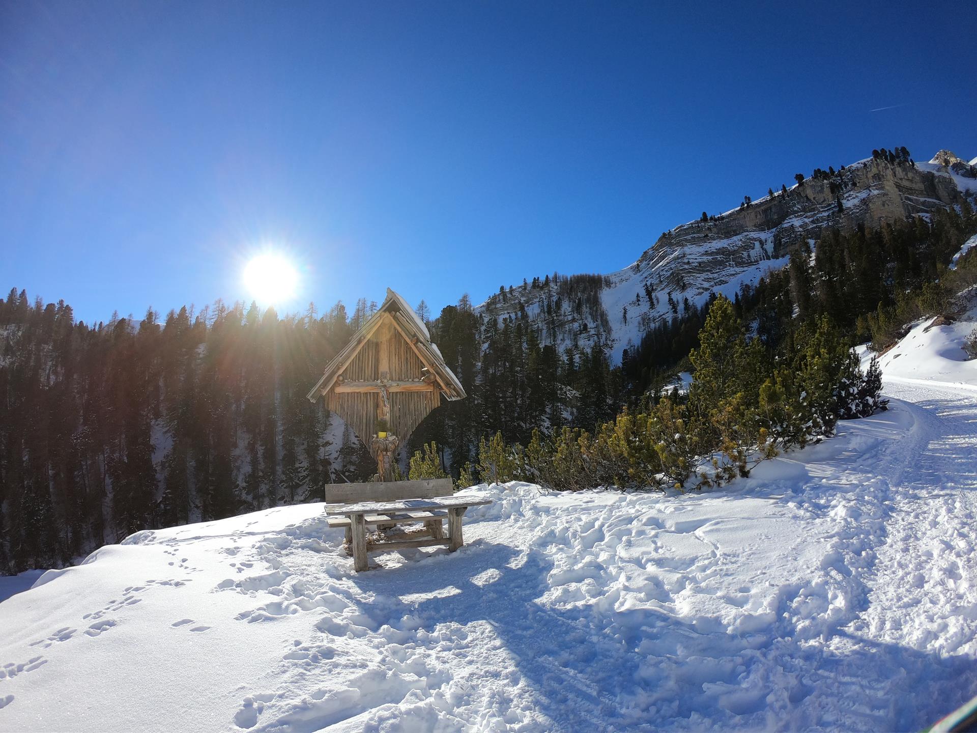 foto-20-01-19-14-05-07