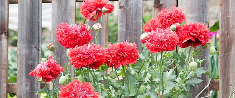 gallery-rottensteiner-rittenoberbozen-09