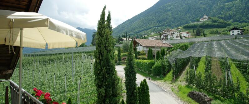 gallery-sonnegg-marling-09