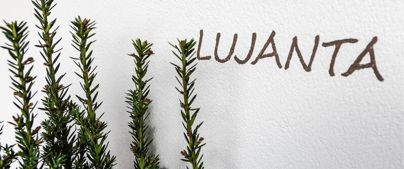 gallery-laoi-sancassiano-06