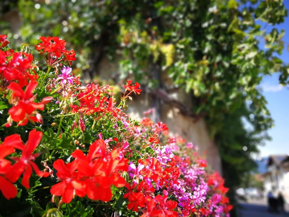 ct-lutz-aktivday-eppan-6-von-22