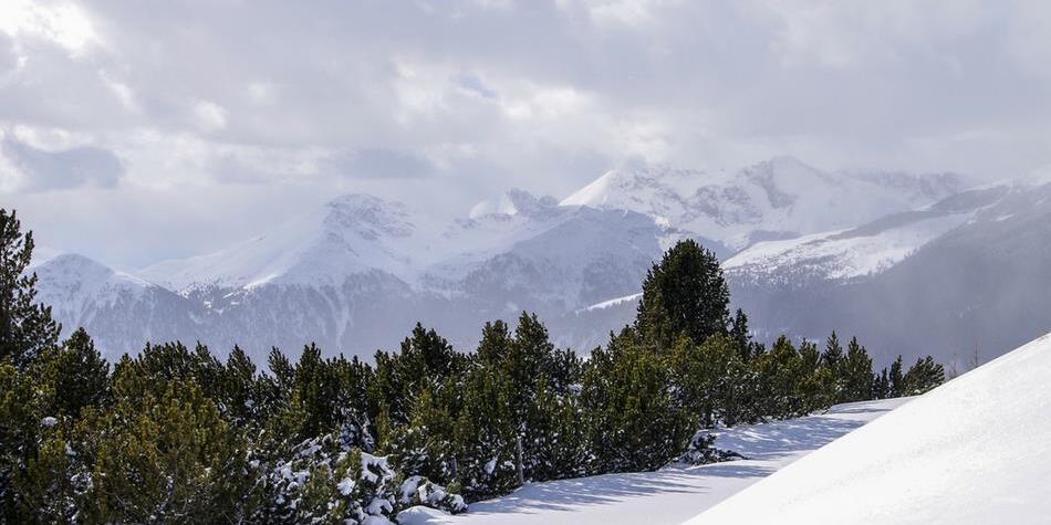 Eine Winterlandschaft