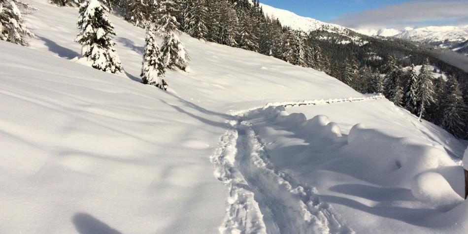 Eine Winterlandschaft