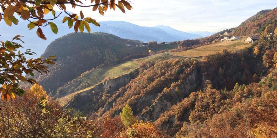 Herbstliche Berglandschaft mit Weinbergen, bunten Wäldern und verstreuten Häusern im warmen Licht.