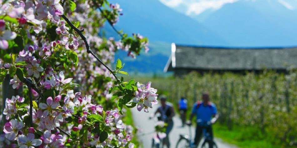 A bike tour in spring