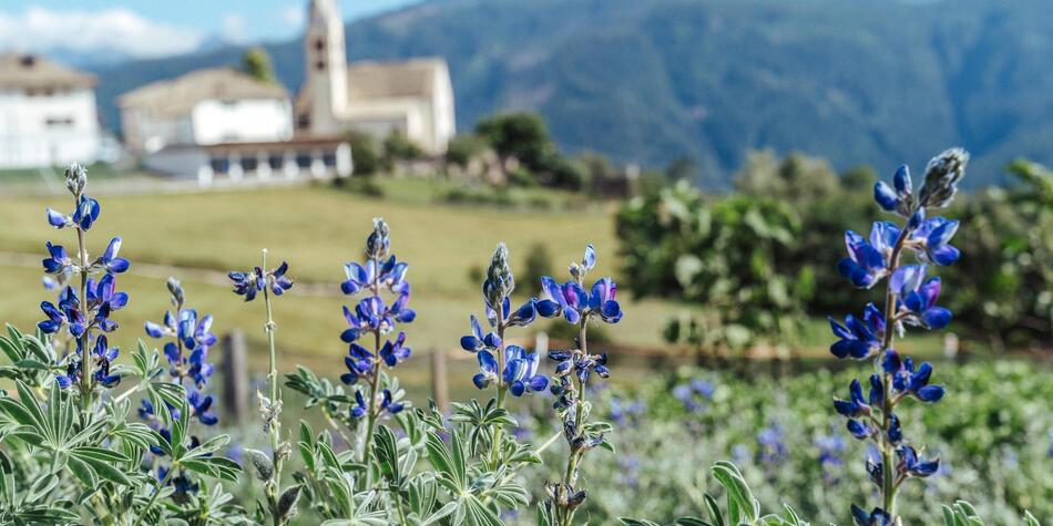 -tm-altrei-hr-04517-min