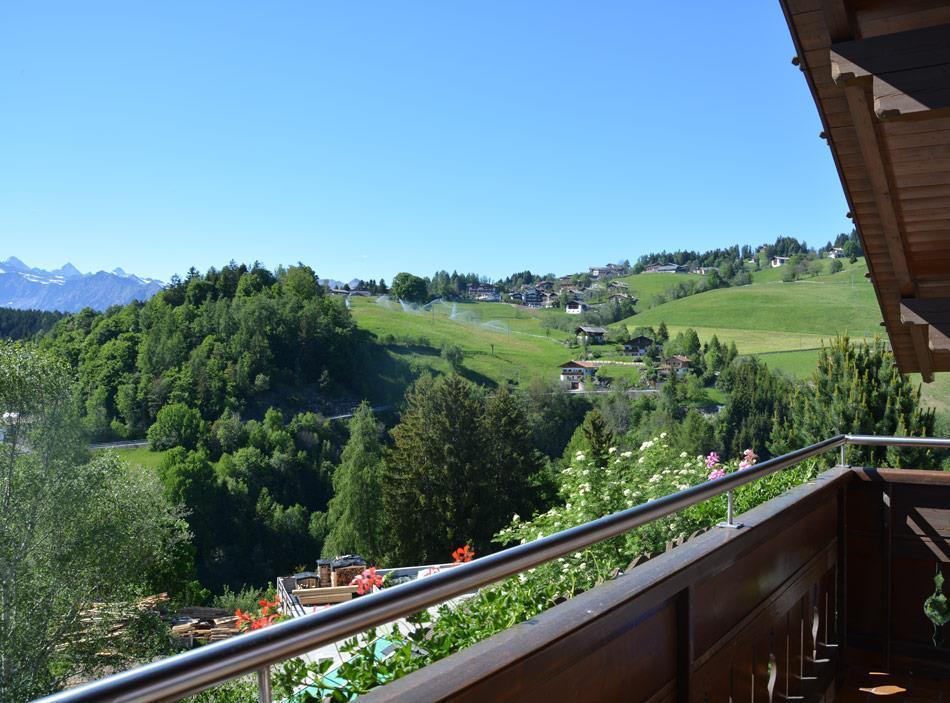 blobbeitrag-haus-bergfried-01