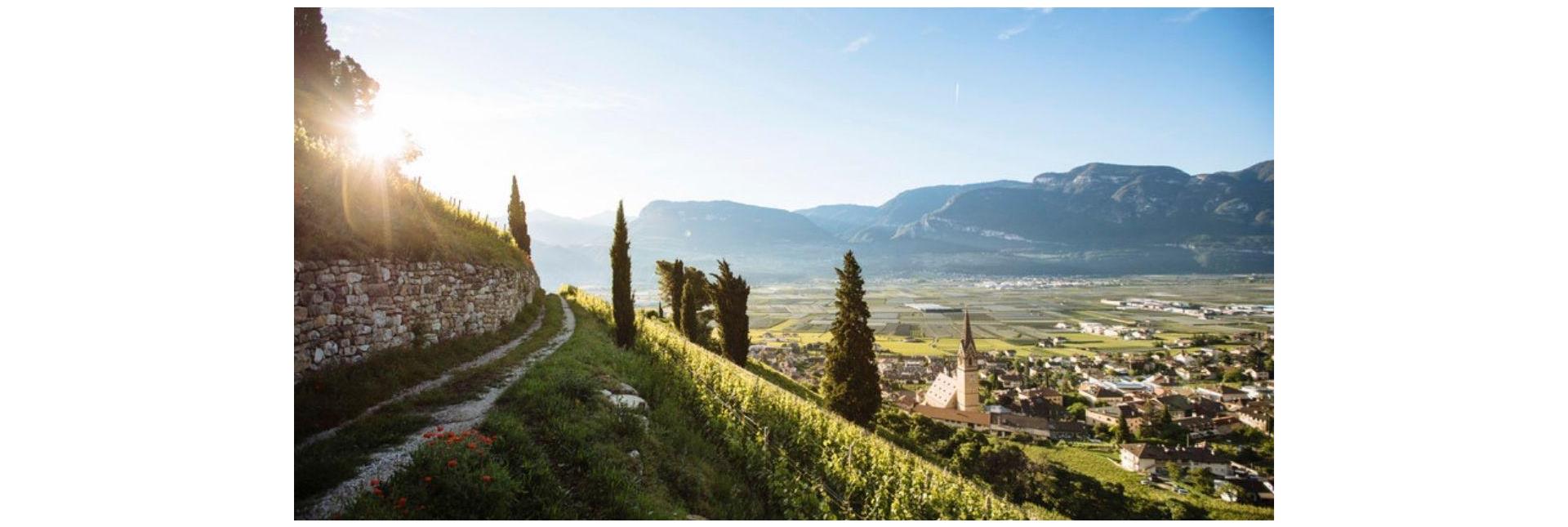 View from a hiking path on a sun-kissed village in South Tyrol.