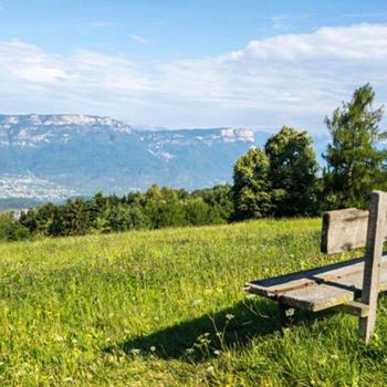 Eine Holzbank auf einer blühenden Wiese mit Blick auf ein weites Tal und die umliegenden Berge.